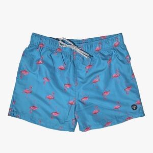 Blue Swim Shorts with Pink Flamingo Print